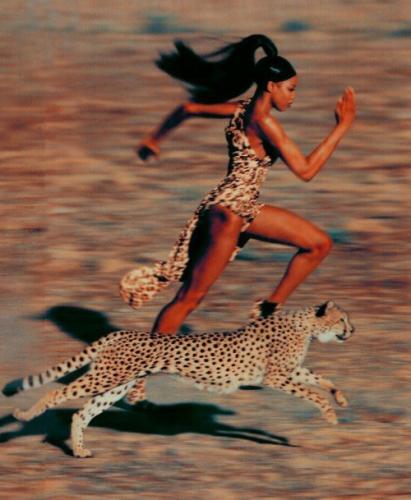 Running with Cheetah