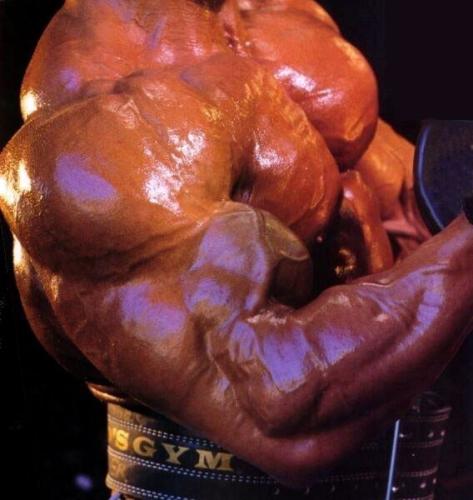 Nasser El Sonbaty Biceps