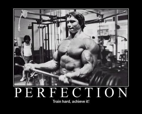 Arnold Perfection