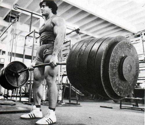 Franco Columbu Barbell