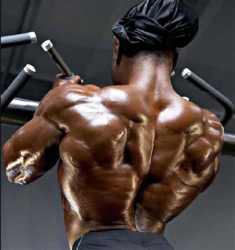 Kai Greene Back Training