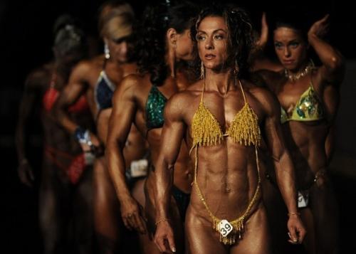 Bodybuilders Contest